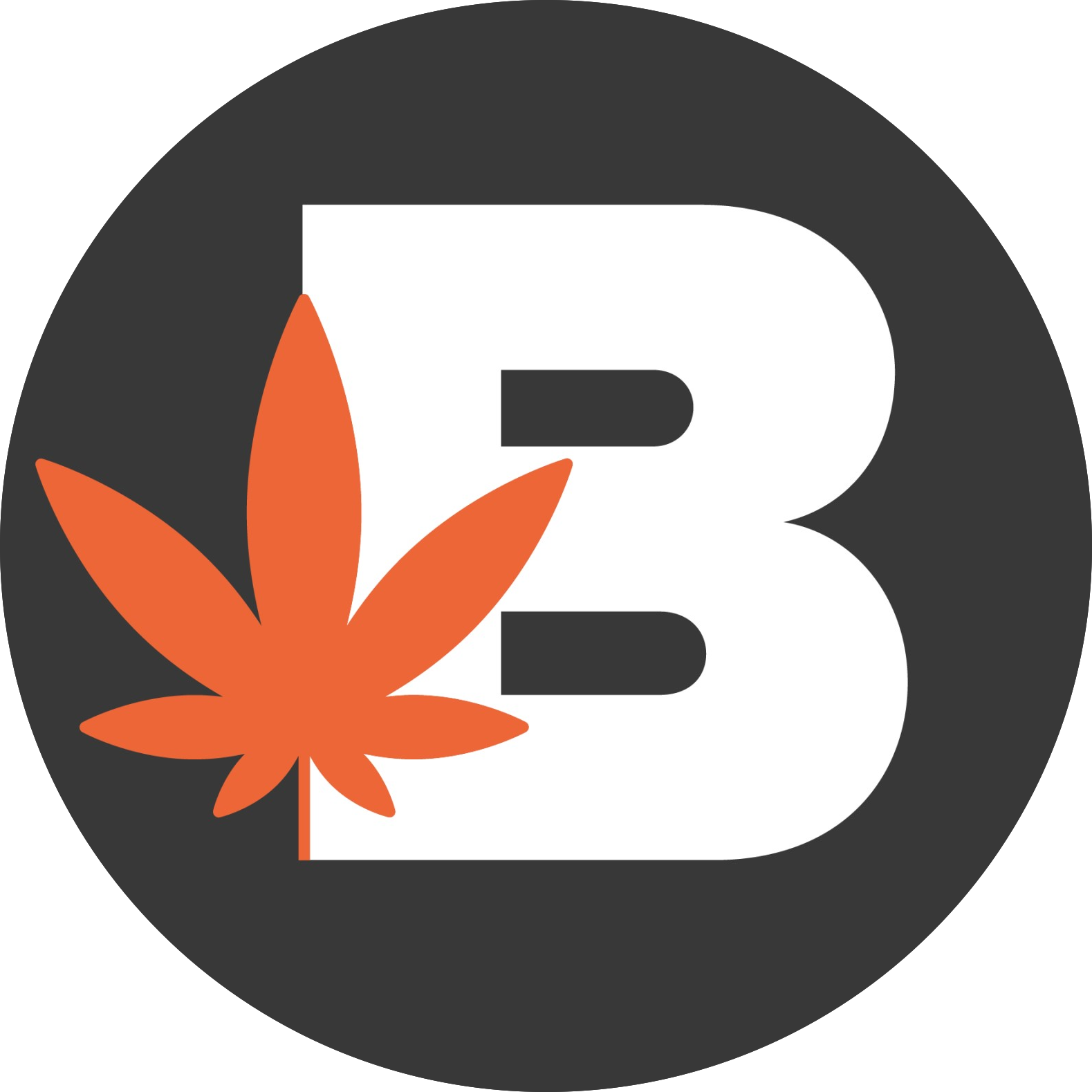 Budvue Media, a Clickspace Interactive company