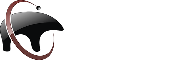 EMR-Bear